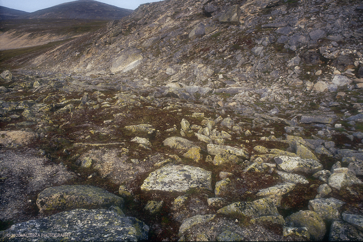 163 SIBERIA.jpg - Luglio/Agosto 1992. Siberia, terra dei Chukchi. Nell'oceano artico  125 Km a nord-est della penisola dei Chukchi (Siberia) c'Ã¨ l'isola di Wrangel, essa ospita piÃ¹ del doppio di specie vegetali (417) di qualsiasi territorio artico a paritÃ  di superficie nonchÃ¨ 30 specie diverse di uccelli oltre ad orsi polari, foche e trichechi ; per questo motivo   Ã¨ stata proclamata patrimonio dell'umanitÃ  dall'UNESCO. Nella foto licheni sulle rocce nella baia di Laurentja, il clima freddo -umido di questa zona favorisce la crescita di licheni che di propagano ovunque.